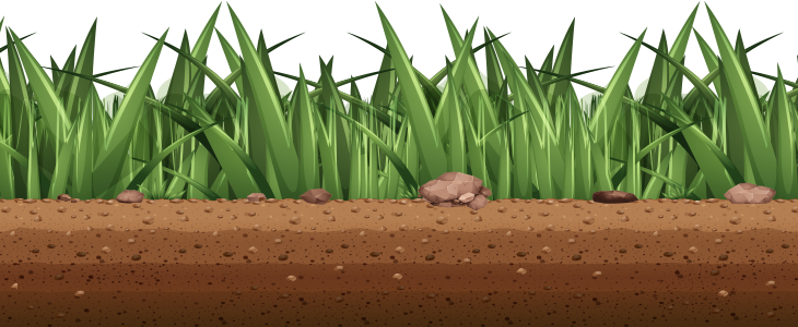 Paved Garden Path landscaper-homepage-work-02