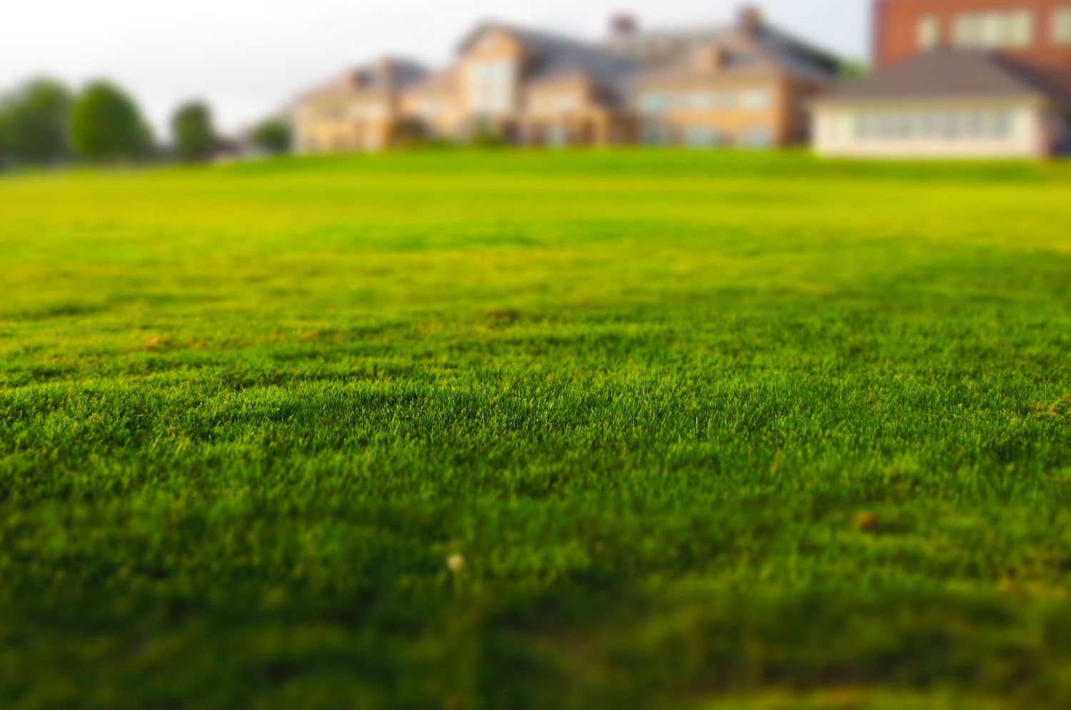 lawn-sprinklers