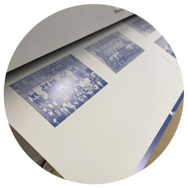 codex-CTP-3